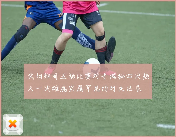 武切维奇五场比赛对手揭秘四次热火一次雄鹿实属罕见的对决记录
