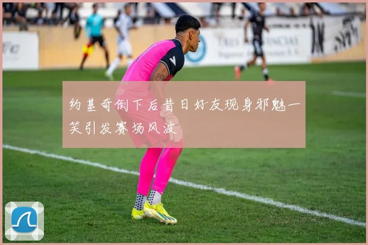约基奇倒下后昔日好友现身邪魅一笑引发赛场风波