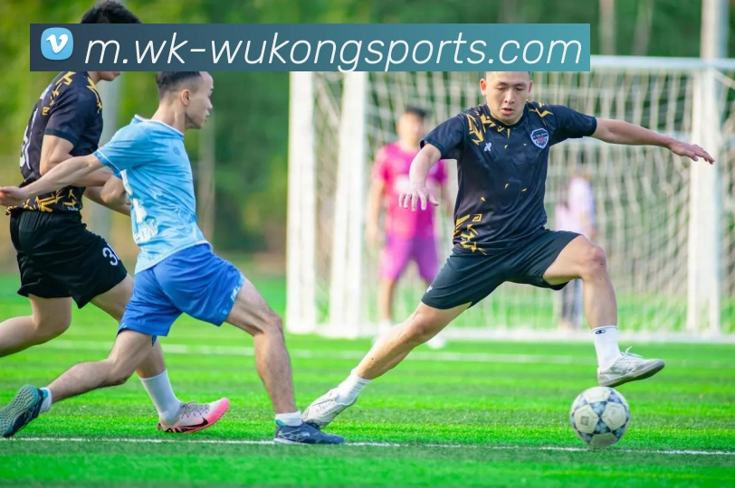 悟空体育发展历程